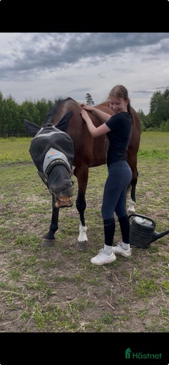 Galleribild {{count}}