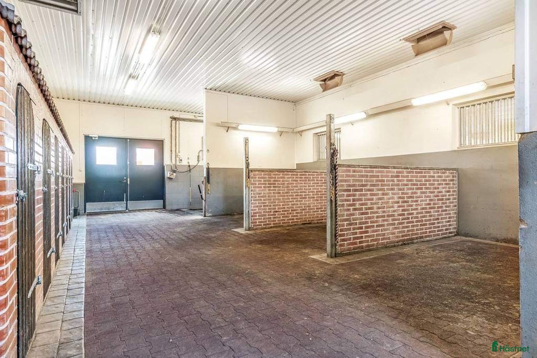  stallplats finnes: Stallplats ledig, box och lösdrift  i Tvååker - Bild 4