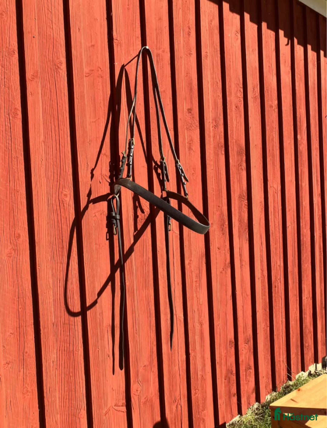 Övrig Hästutrustning hästutrustning till salu: Ovanlig sele och träns i Forserum - Annons 7