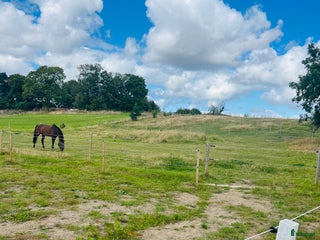 foderhäst Foderhäst sökes till lugnt stall! i Åstorp - Annons 8