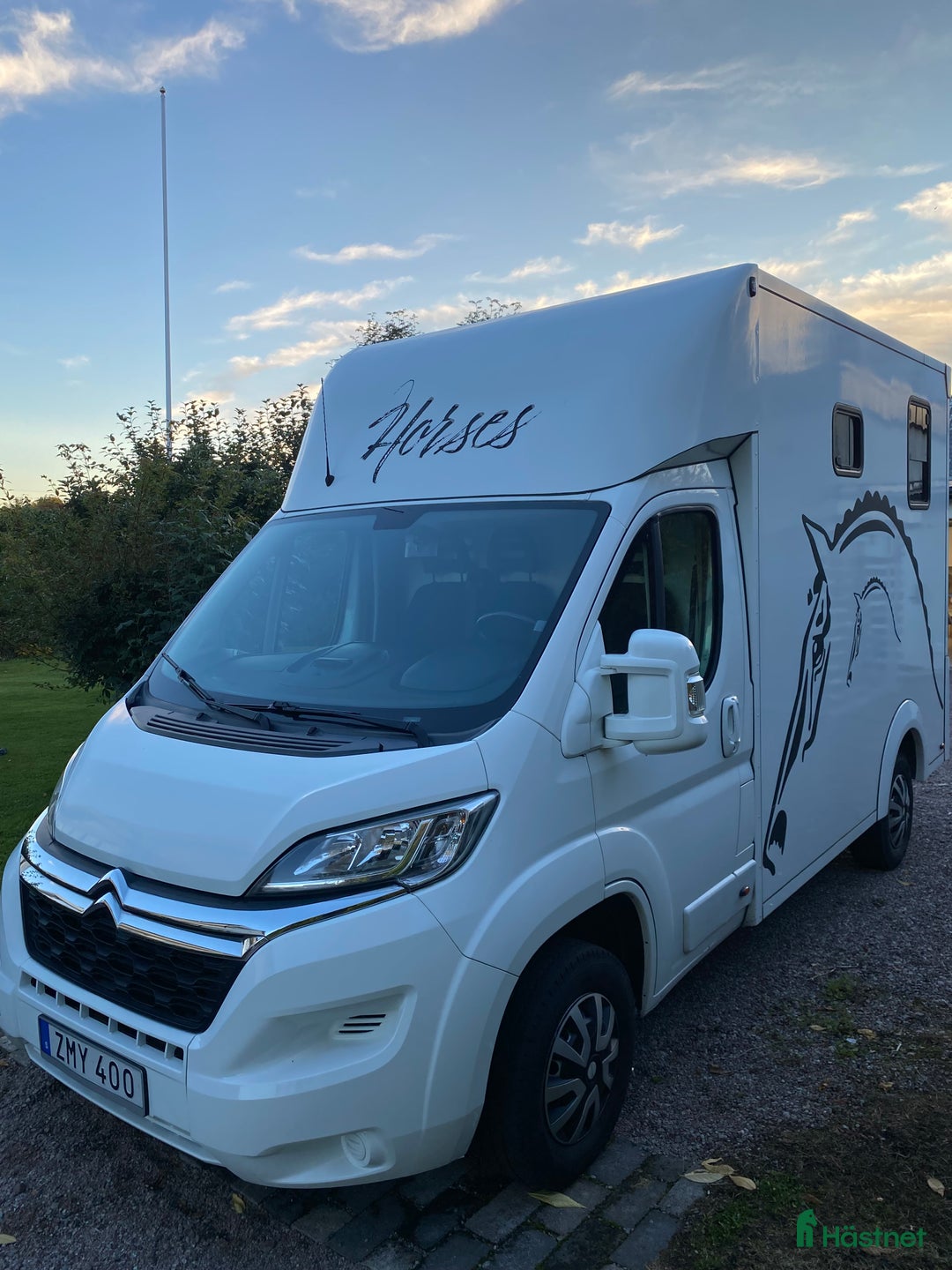 Hästlastbilar  fordon & transport till salu: B-kortslastbil med hög lastvikt (1005kg) i Avesta - Annons 1