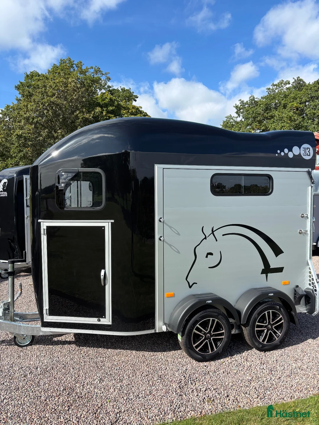 Hästtransporter  fordon & transport till salu: Cheval GOLD3  - Annons 2