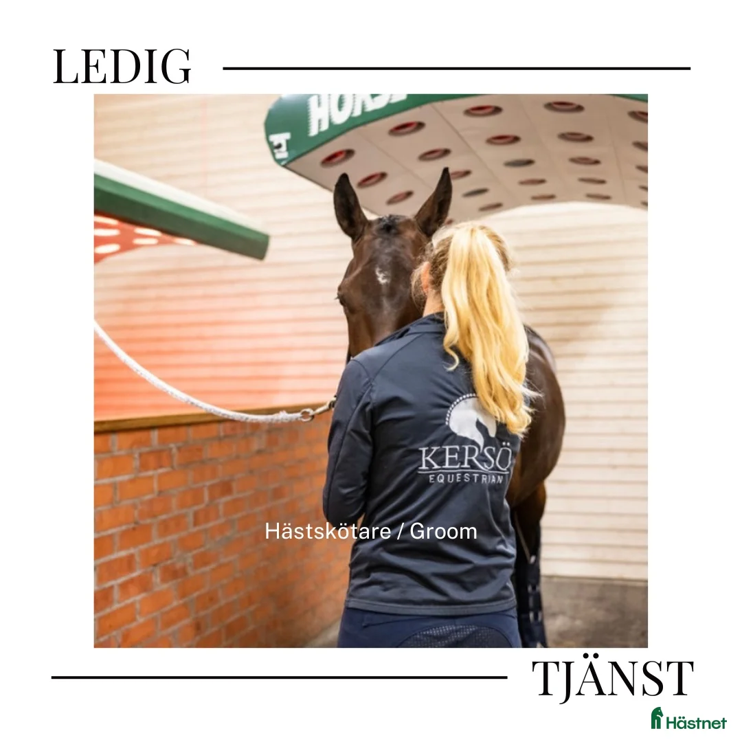  hästjobb finnes: Medarbetare till Kersö Equestrian sökes - Annons 1