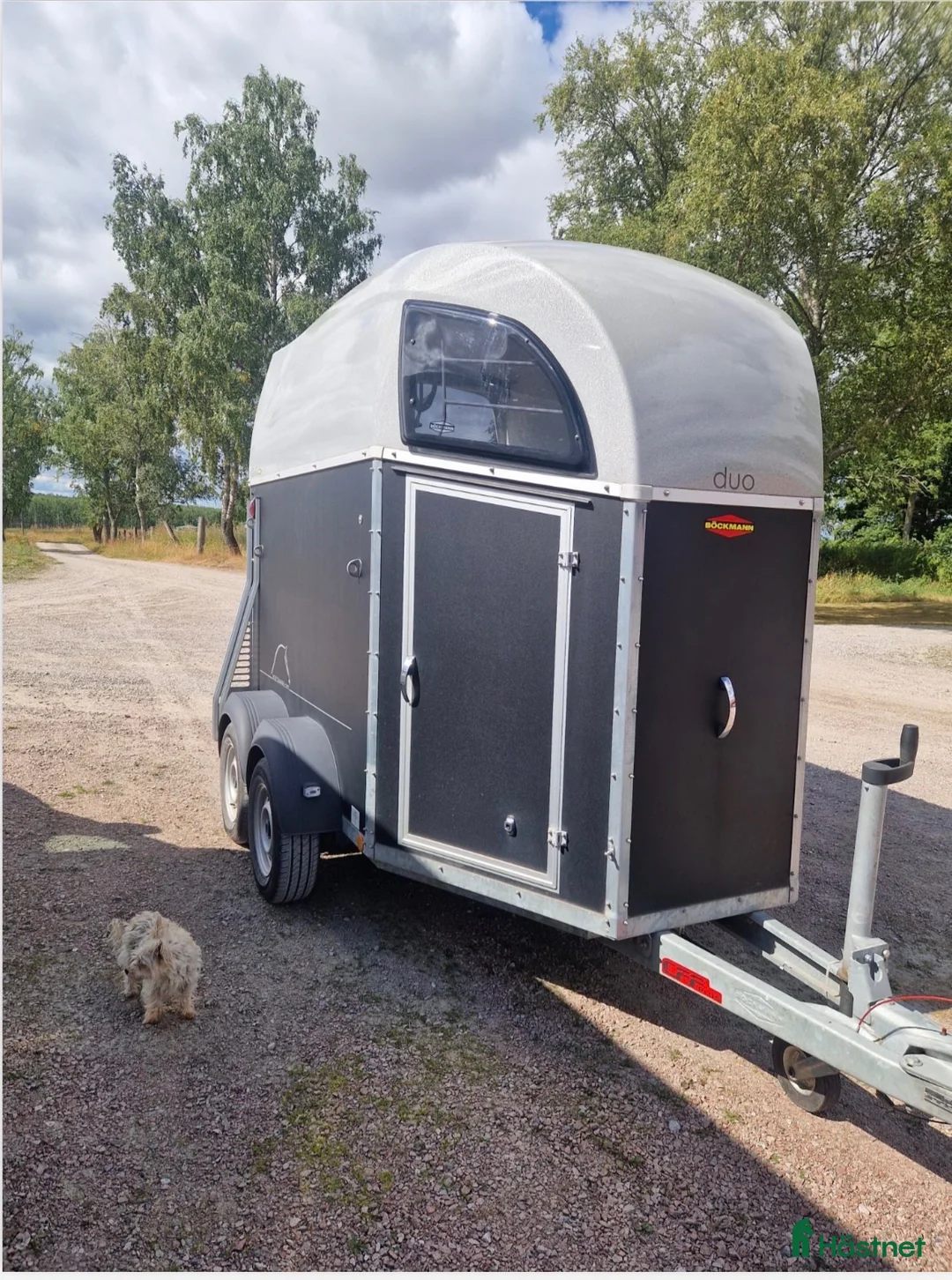 Hästtransporter  fordon & transport till salu: Böckmann hästtransport alugolv -15 - Annons 2
