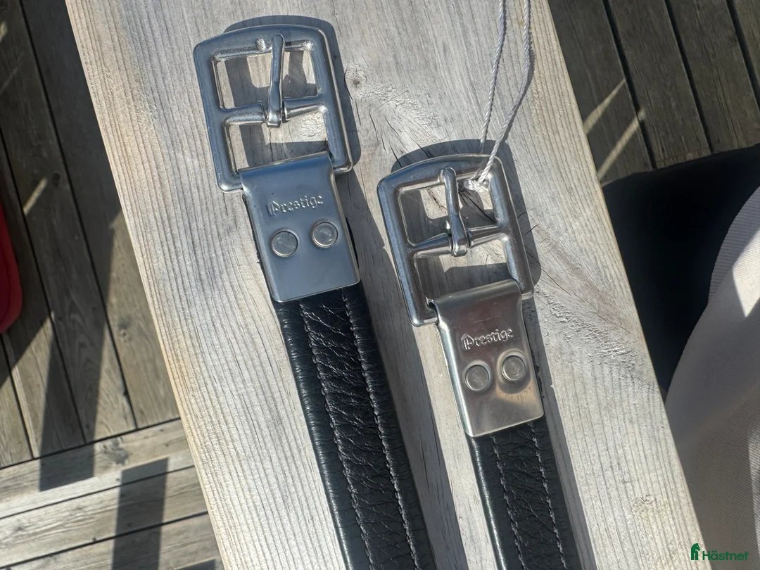 Sadeltillbehör hästutrustning till salu: Prestige - stigläder - 145 cm.  i Kungsbacka - Annons 2