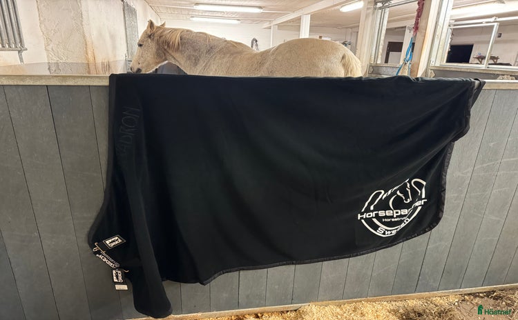 Täcken hästutrustning till salu i Skövde - Annons 20
