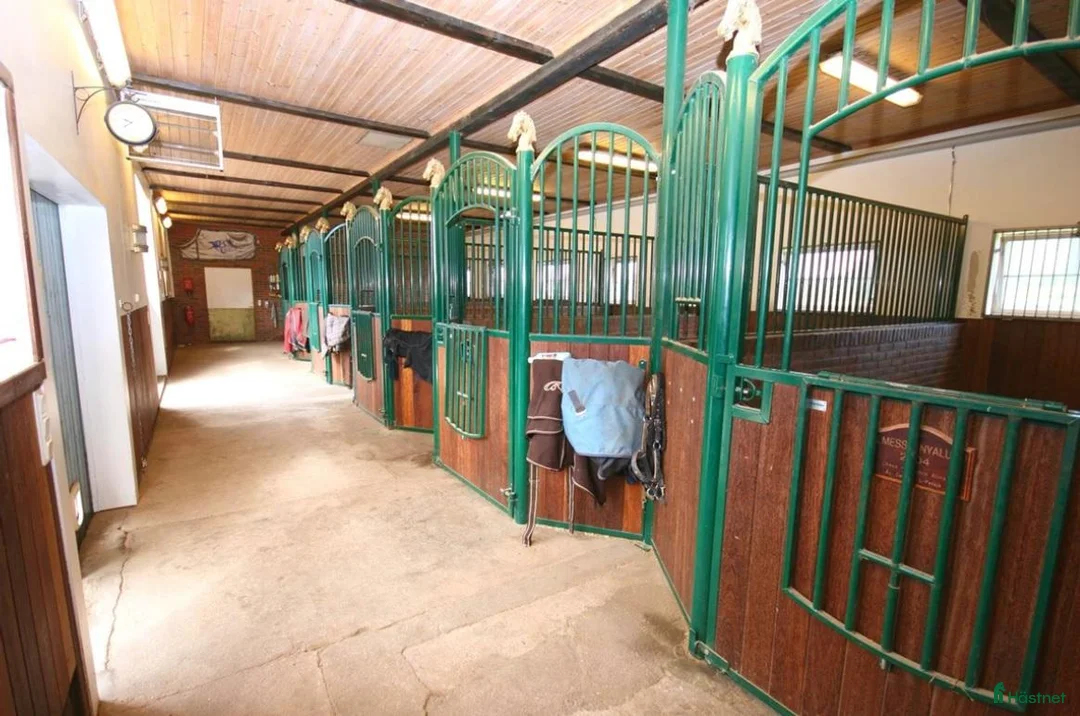  stallplats finnes: Stallplats uthyres - Annons 5