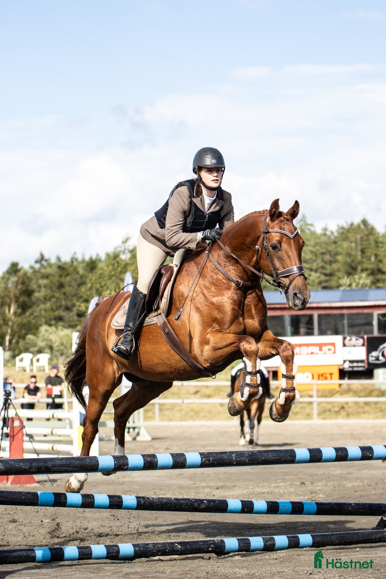  hästservice finnes: Stallhjälp/ridhjälp finnes - Annons 8