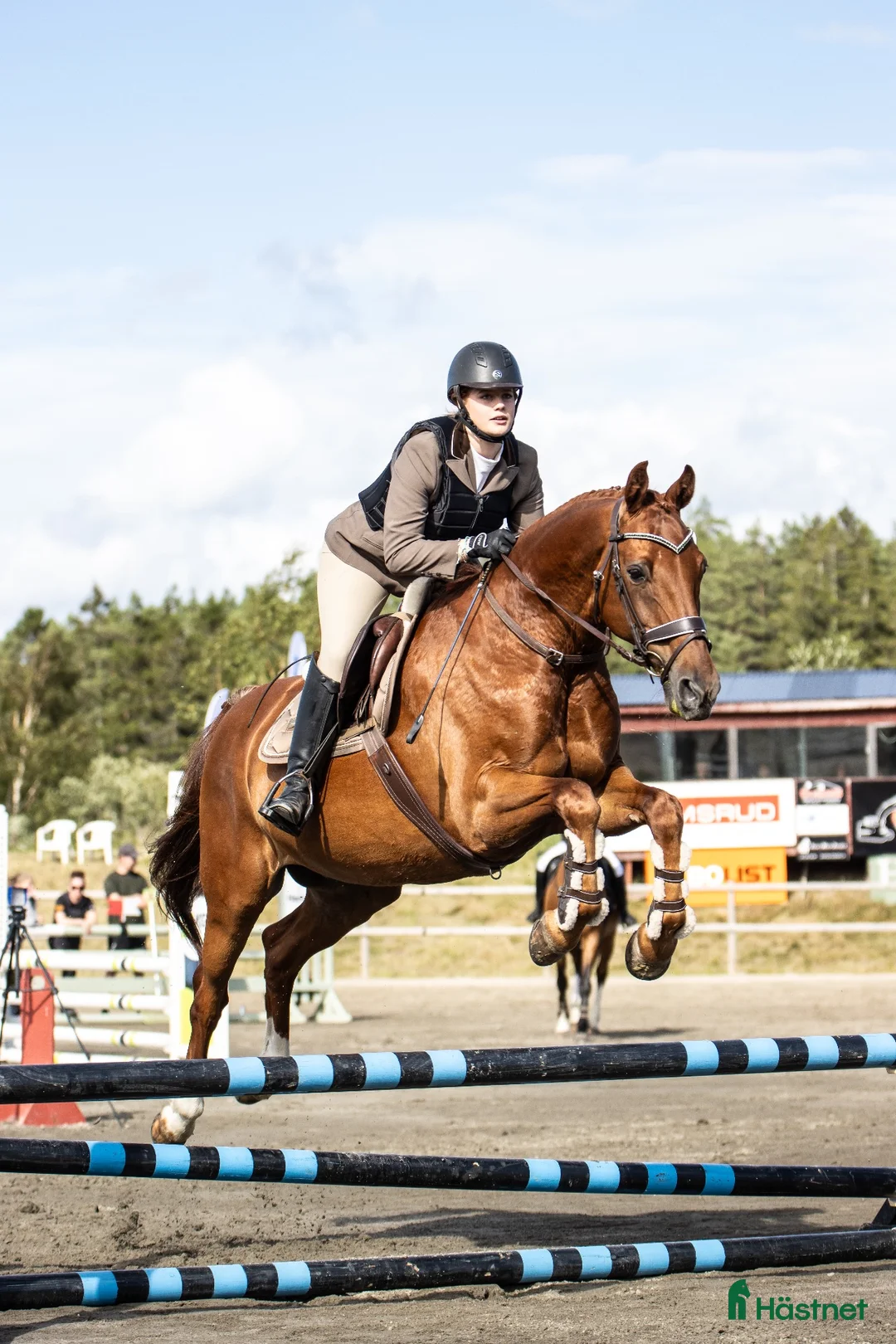  hästservice finnes: Stallhjälp/ridhjälp finnes i Karlstad - Annons 1