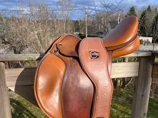 Sadlar hästutrustning till salu: Sadel från Globus med tillhörande sadelgjord - Annons 2