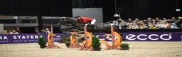 Hoppning hästar till salu: FEI Showjumping Pony - Annons 4