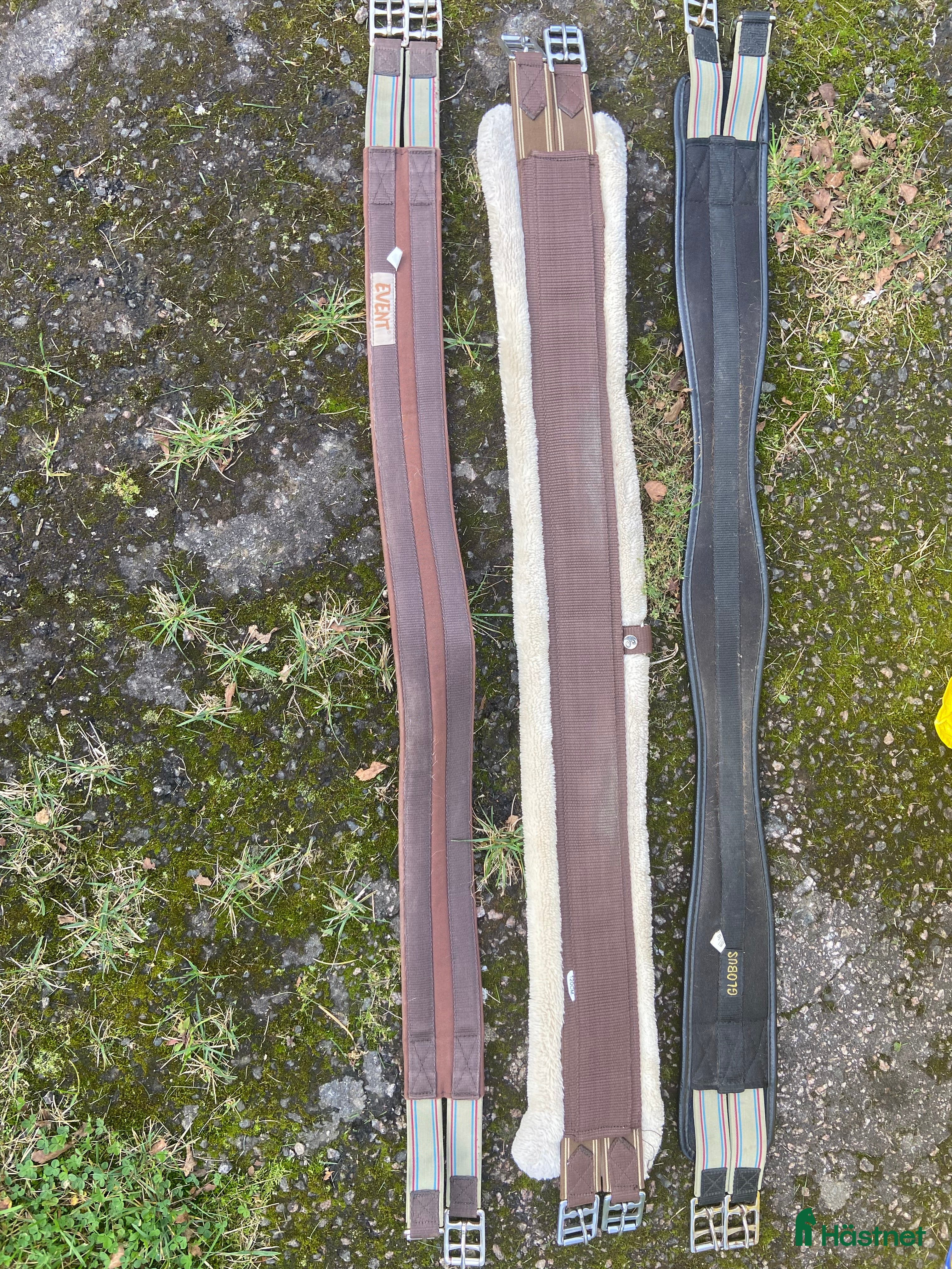 Sadeltillbehör hästutrustning till salu: Sadeljordar - Annons 1