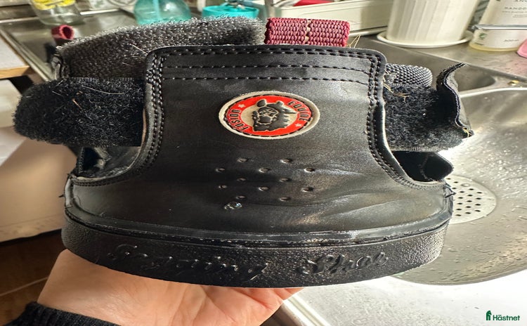 Övrig Hästutrustning hästutrustning till salu i Farsta - Annons 18