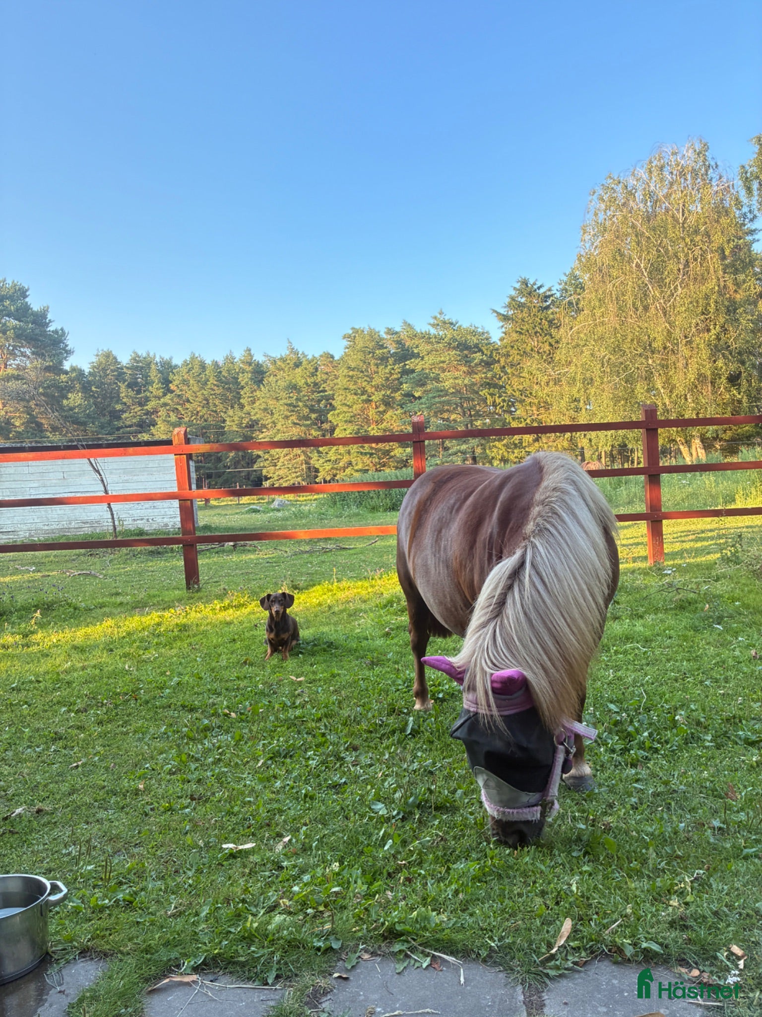  stallplats Stallplats - Annons 1