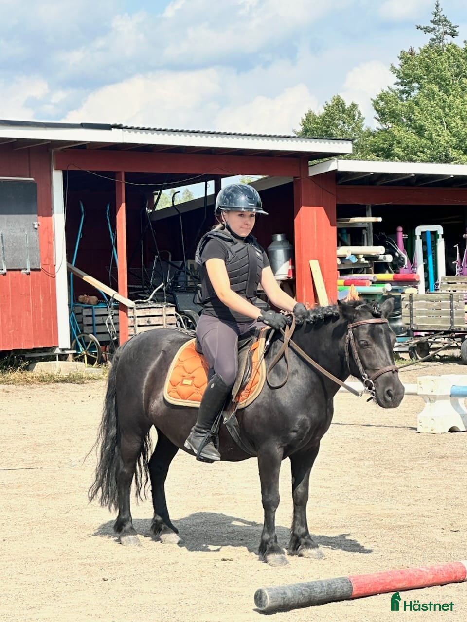 Schabrak &amp; Vojlockar hästutrustning till salu: EQUESTRIAN STOCKHOLM  i Ljusterö - Annons 7