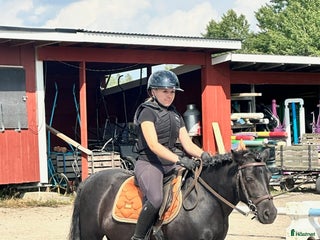 Schabrak & Vojlockar hästutrustning till salu: EQUESTRIAN STOCKHOLM i Ljusterö - Annons 20