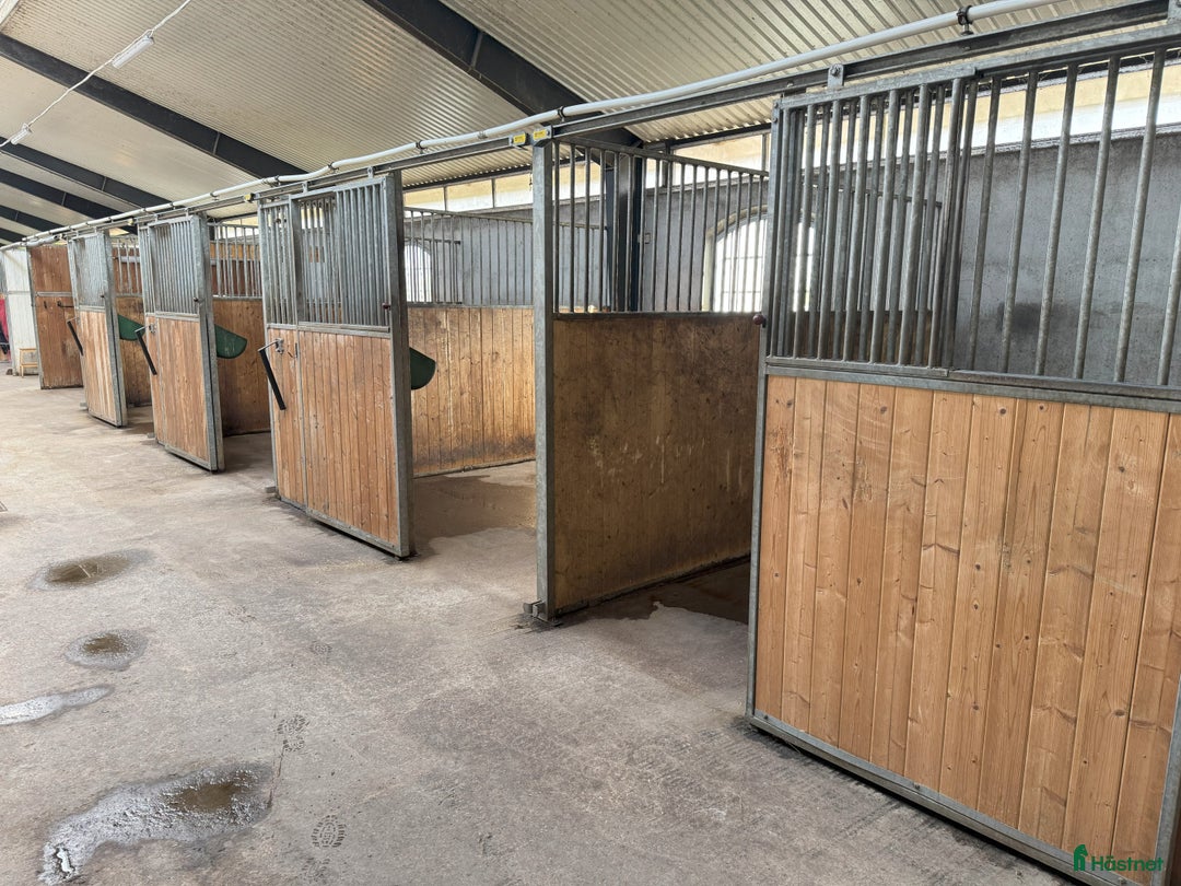  stallplats finnes: Stallplats i Båstad i Båstad - Annons 2