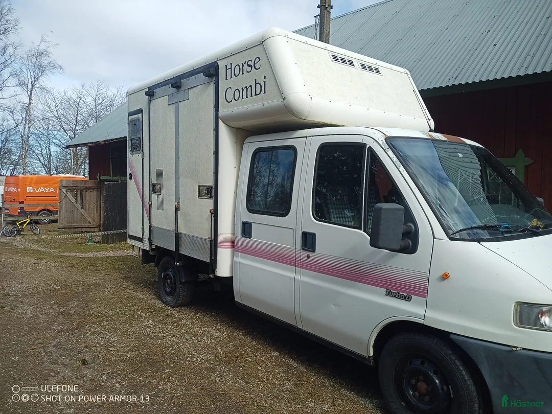 Hästlastbilar  fordon & transport till salu: Hästlastbil med 7 säten - Annons 2