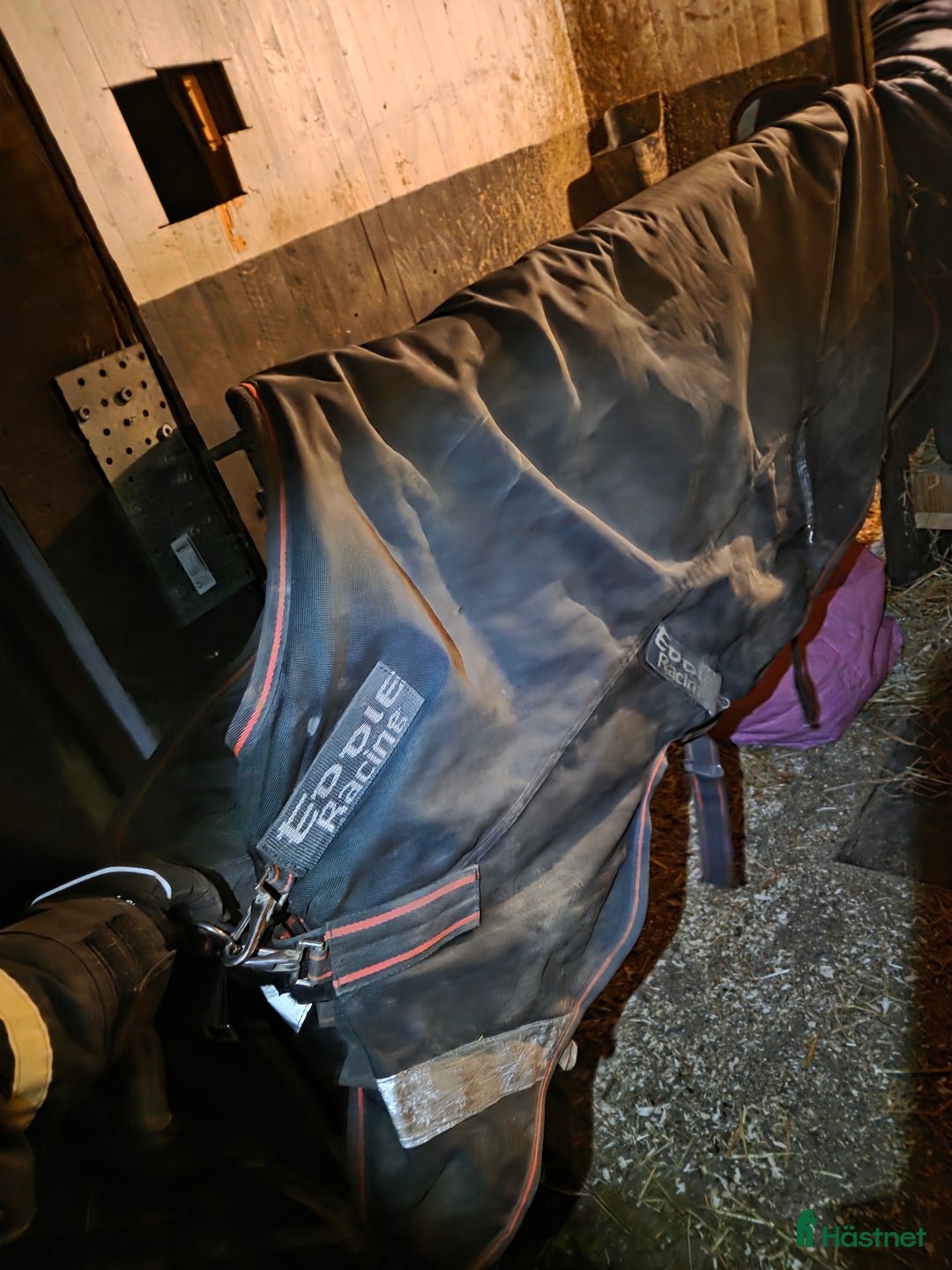 Täcken hästutrustning till salu: 3 utetäcken  i Johannishus - Annons 1