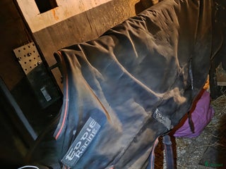 Täcken hästutrustning till salu: 3 utetäcken i Johannishus - Annons 21