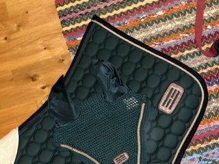 Schabrak & Vojlockar hästutrustning till salu: Snyggt grönt sett med guld detaljer! i Fjälkinge - Annons 1