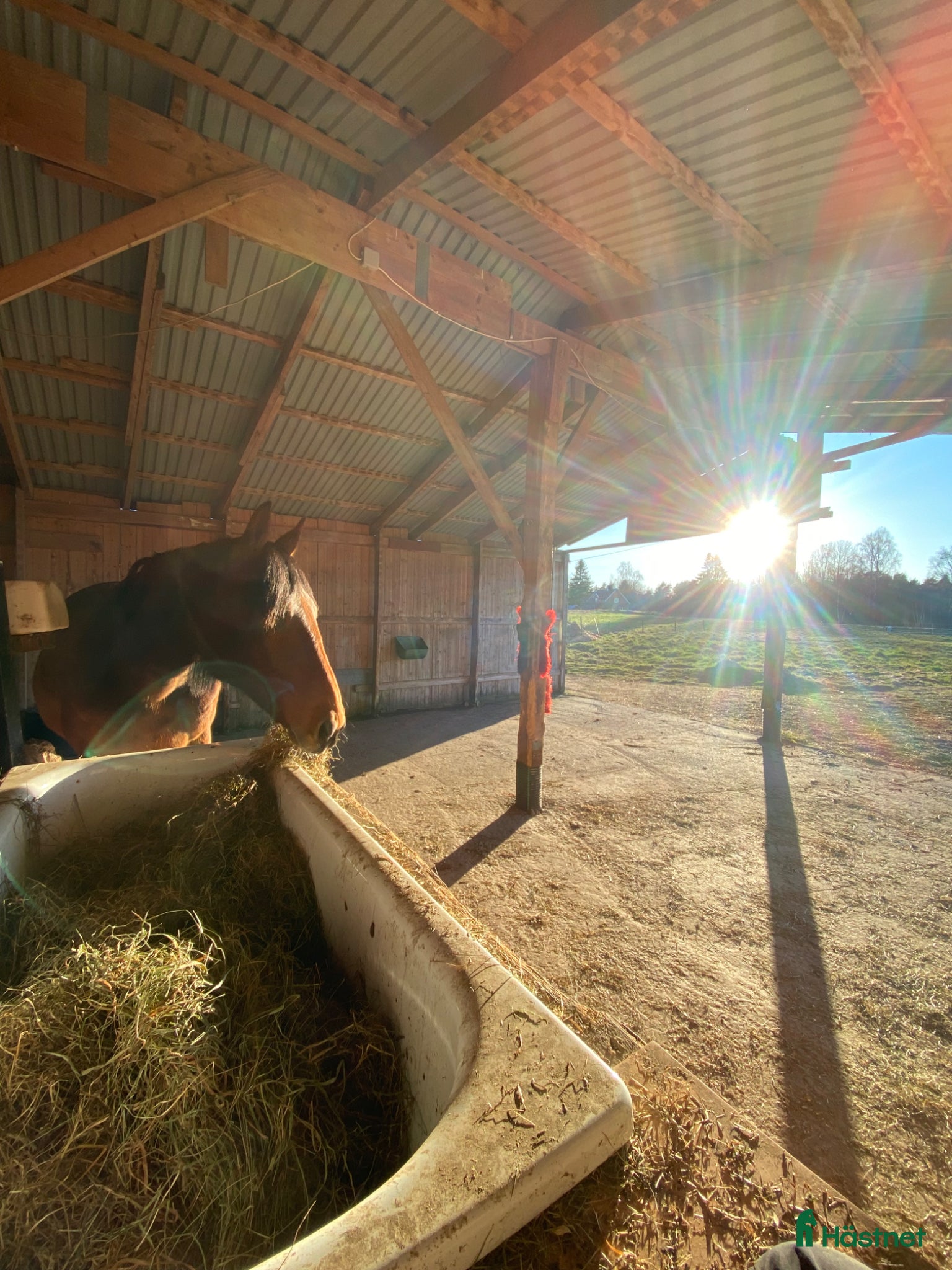  hästservice Semesterplats- Långsiktigt samarbete - Annons 12