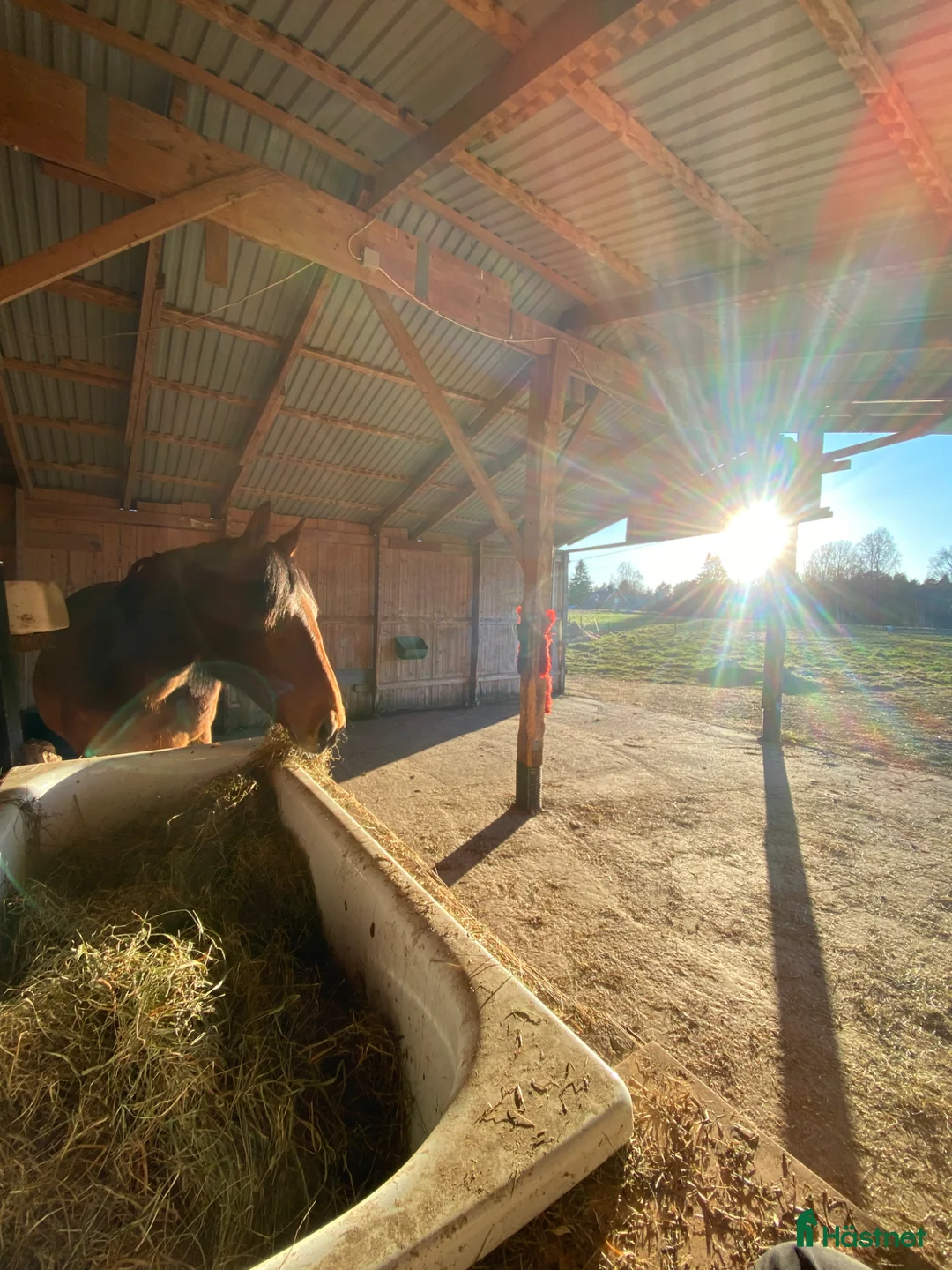  hästservice finnes: Semesterplats- Långsiktigt samarbete i Tidaholm - Annons 1