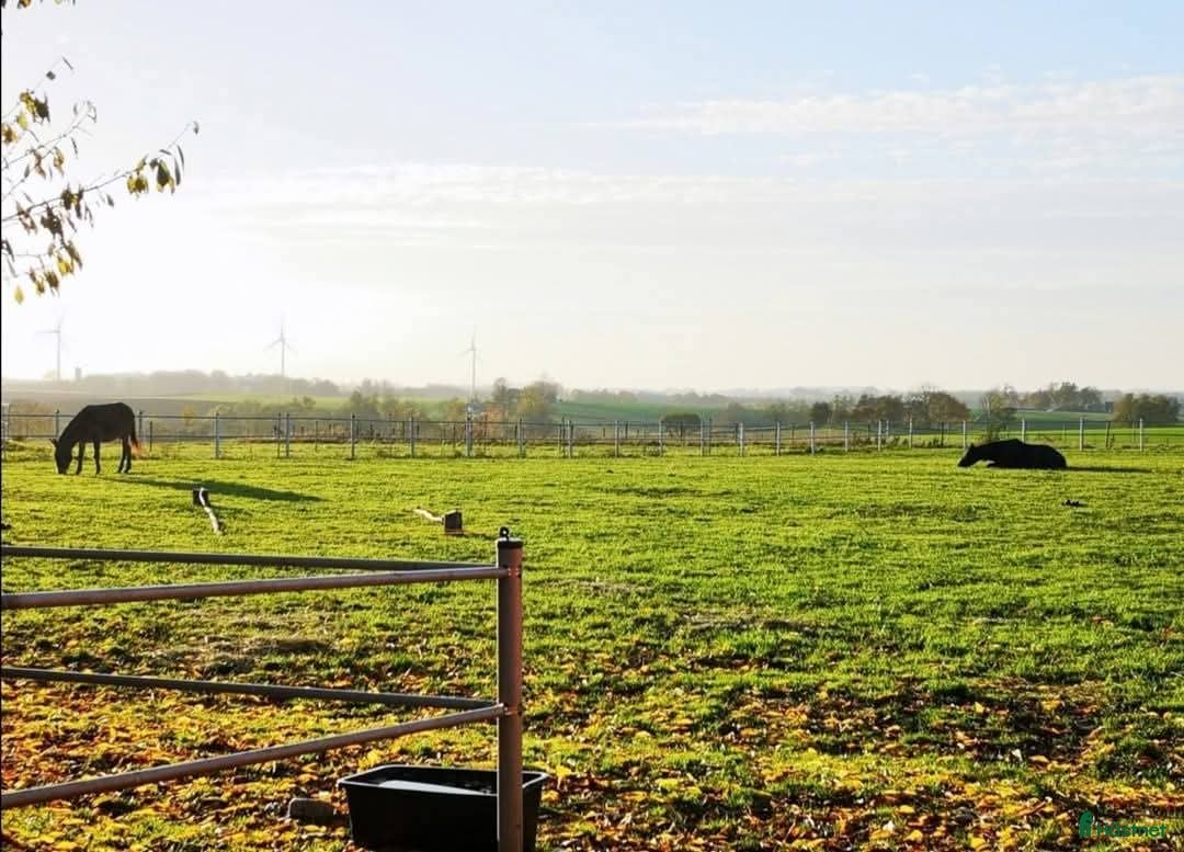  stallplats finnes: Lösdrift  i Skurup - Annons 1