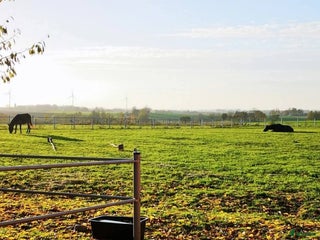 stallplats finnes: Lösdrift i Skurup - Annons 1