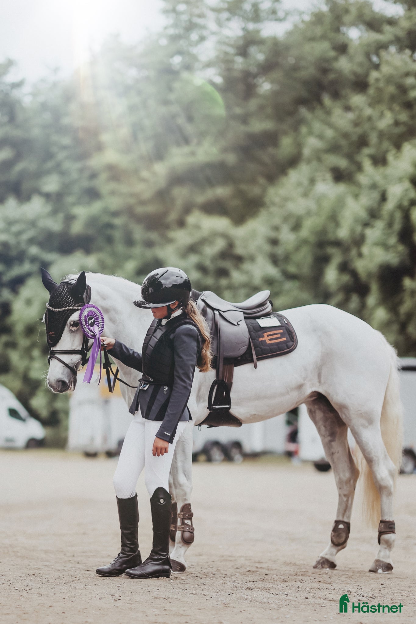  hästar Läromästare  - Annons 18