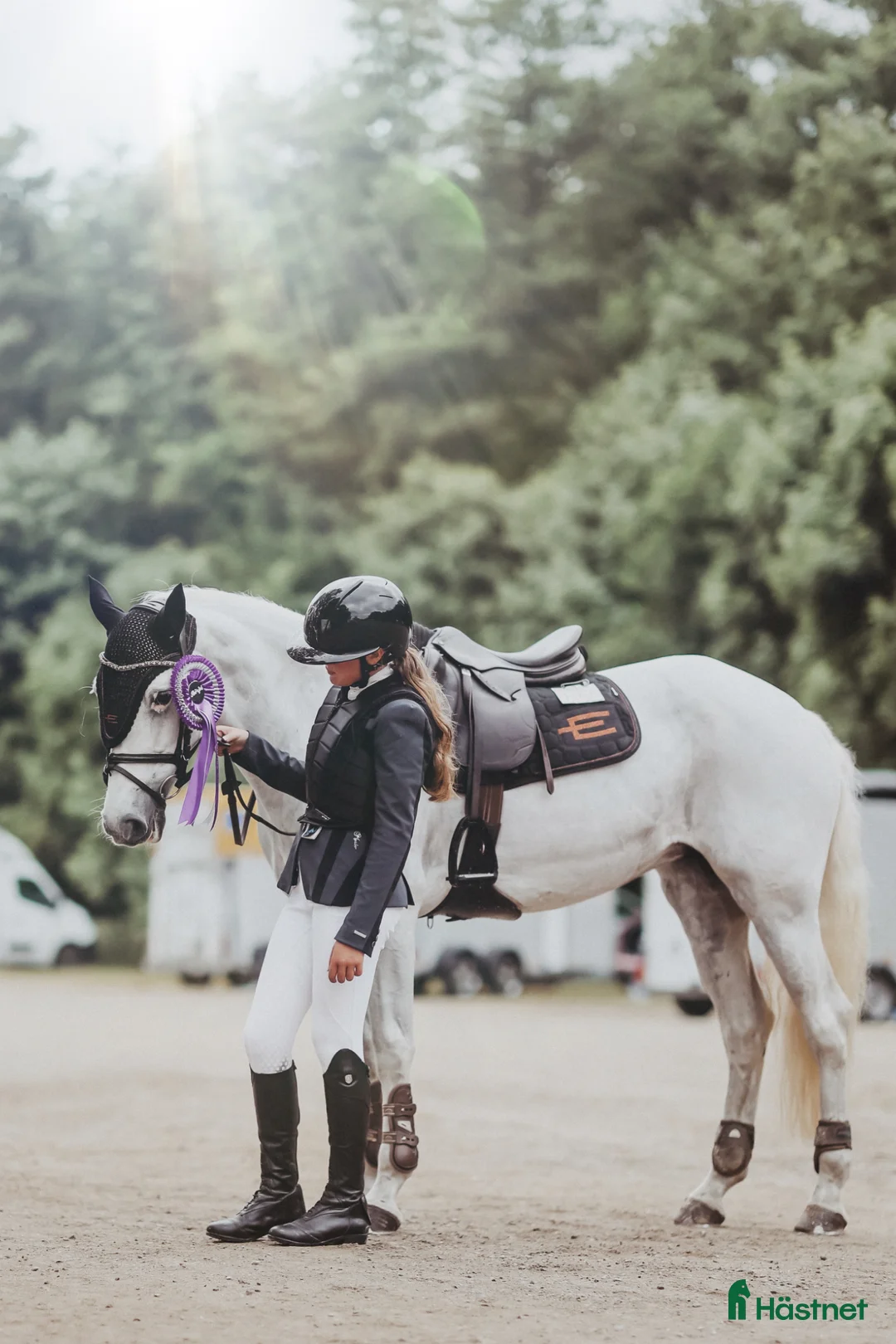 Hoppning hästar till salu: Läromästare  - Annons 1