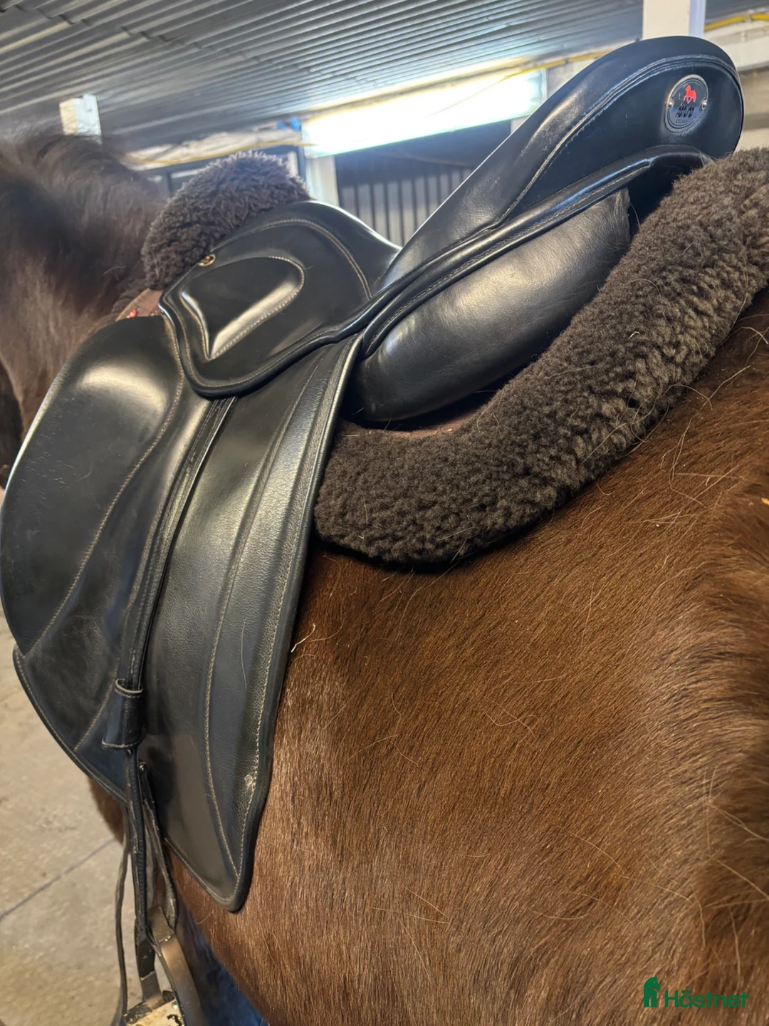 Sadlar hästutrustning till salu: Astund Epona  - Annons 3
