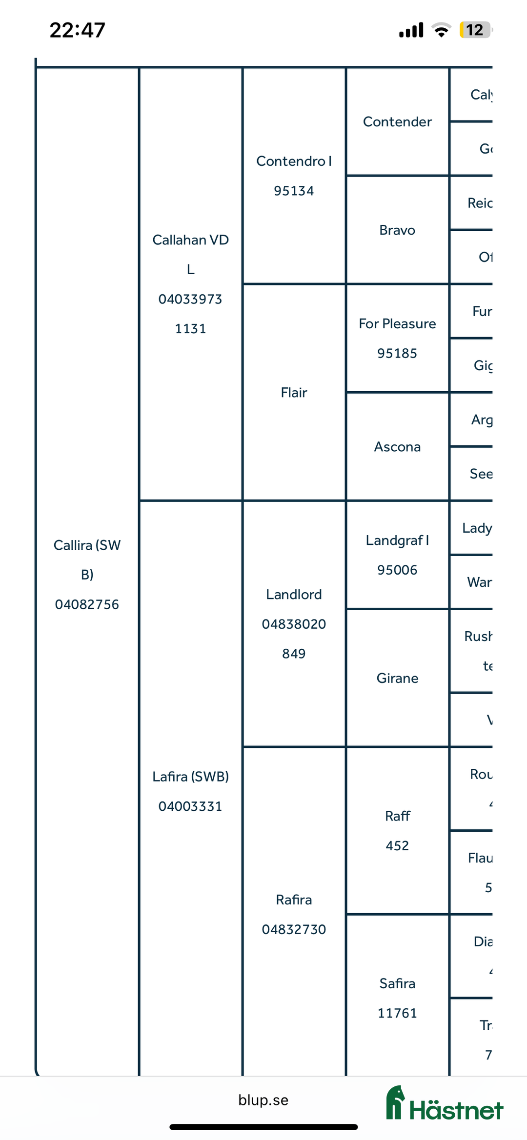 Avelshästar hästar till salu: Avelsto i Degeberga - Annons 4