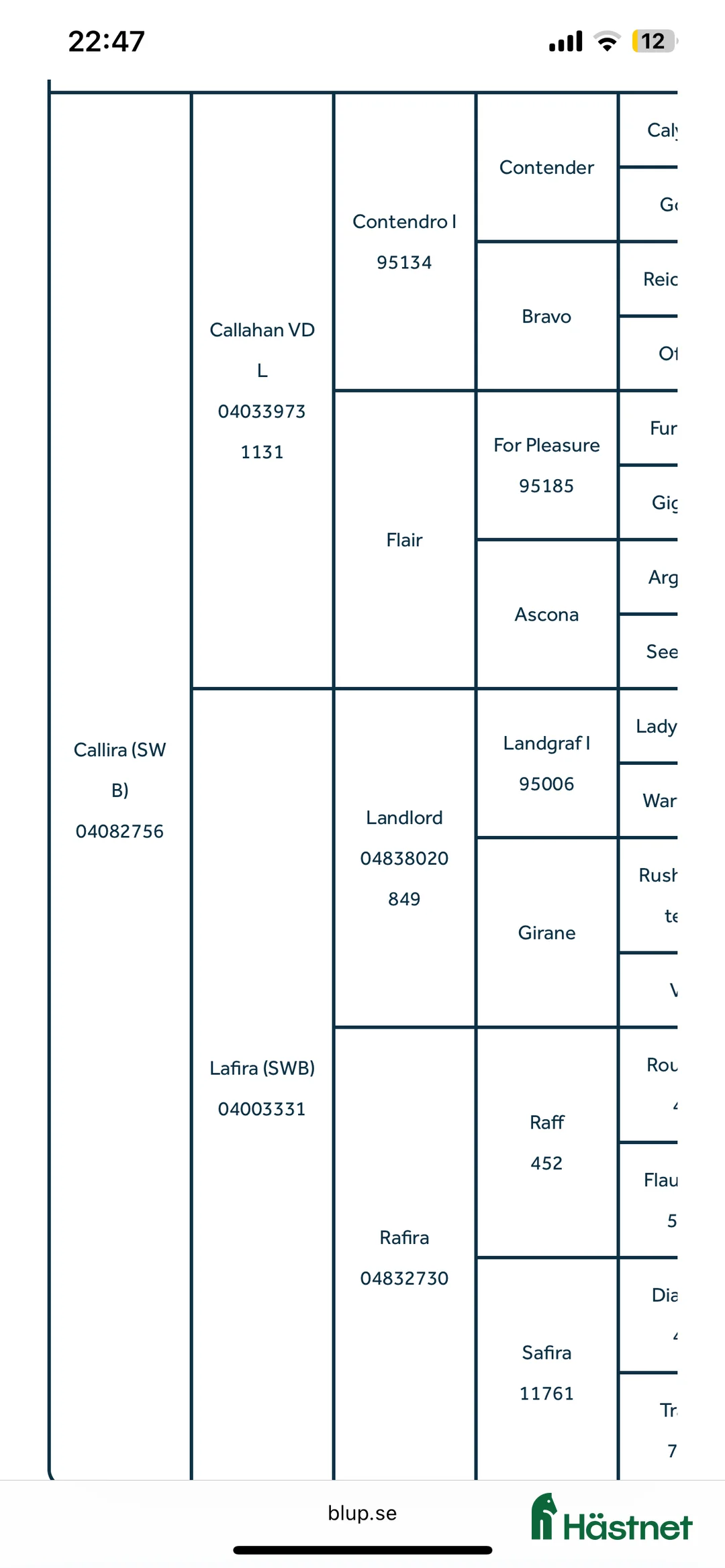Avelshästar hästar till salu: Avelsto i Degeberga - Annons 4