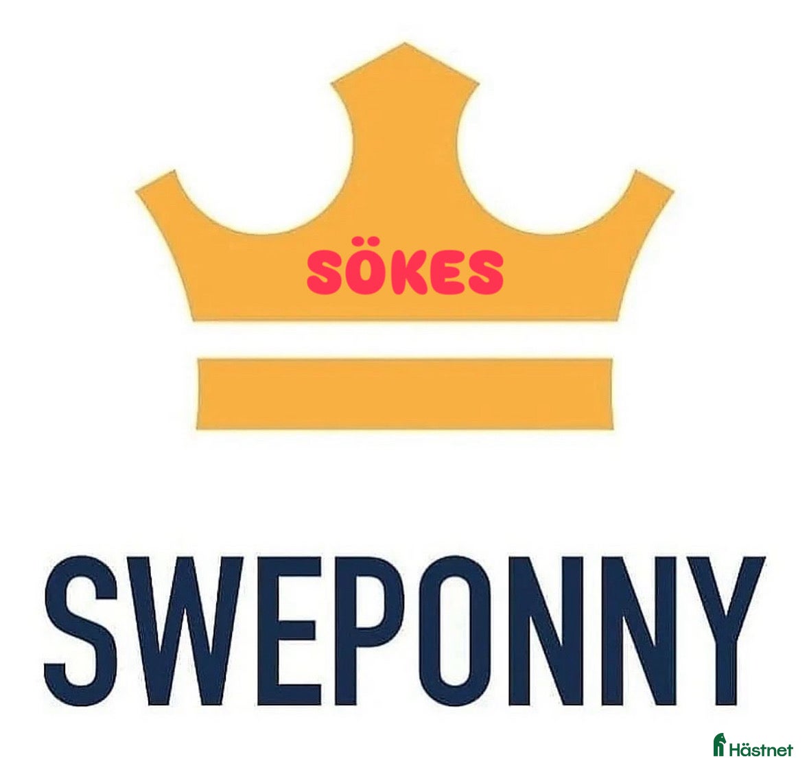  hästar Vi hjälper till att sälja din häst - Annons 19