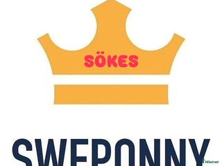 hästar Vi hjälper till att sälja din häst i Enköping - Annons 18