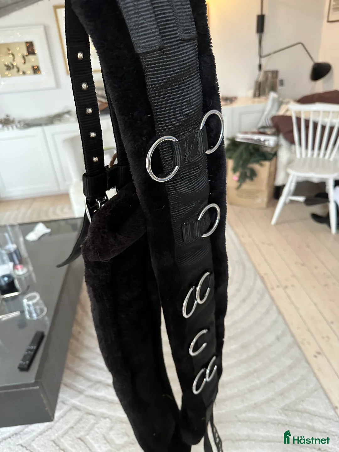 Sadeltillbehör hästutrustning till salu: Allt för 300 i Järfälla - Annons 2