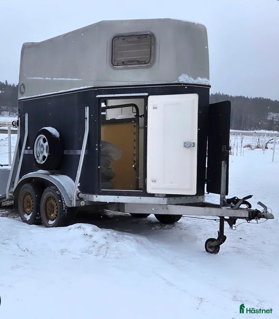Hästtransporter  fordon & transport till salu: Blomert T2 Rubin - sadelkammare- aluminiumgolv  i Stenhamra - Annons 6