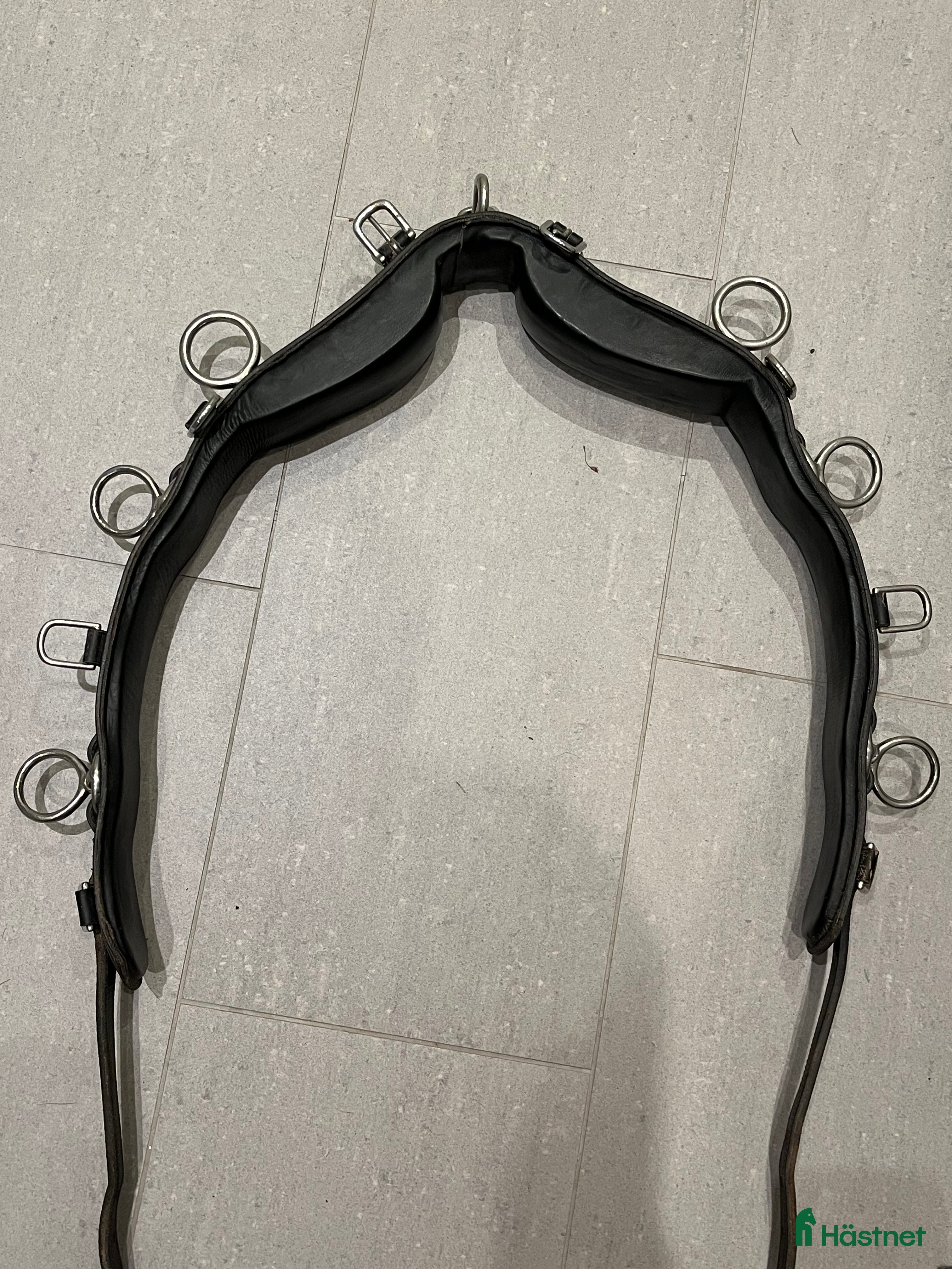 Övrig Hästutrustning hästutrustning till salu: Tömkörningsgjord i Dalby - Annons 1