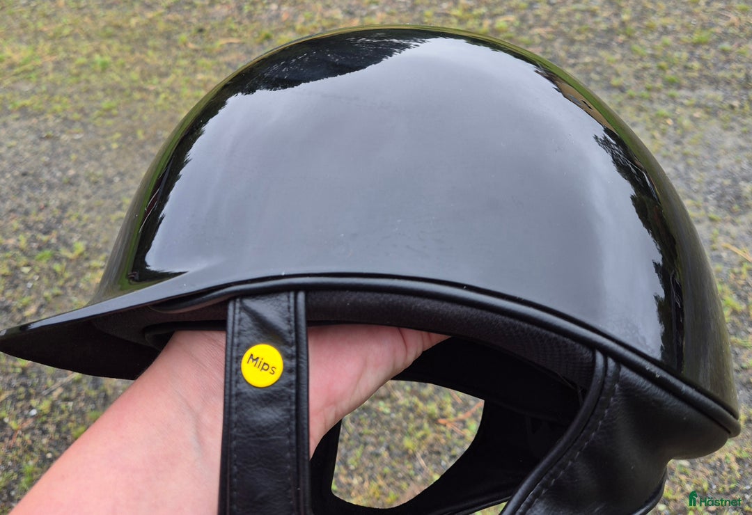 Hjälmar ryttarutrustning till salu: Svart glossy glitter L (58-60) i Ullånger - Annons 3