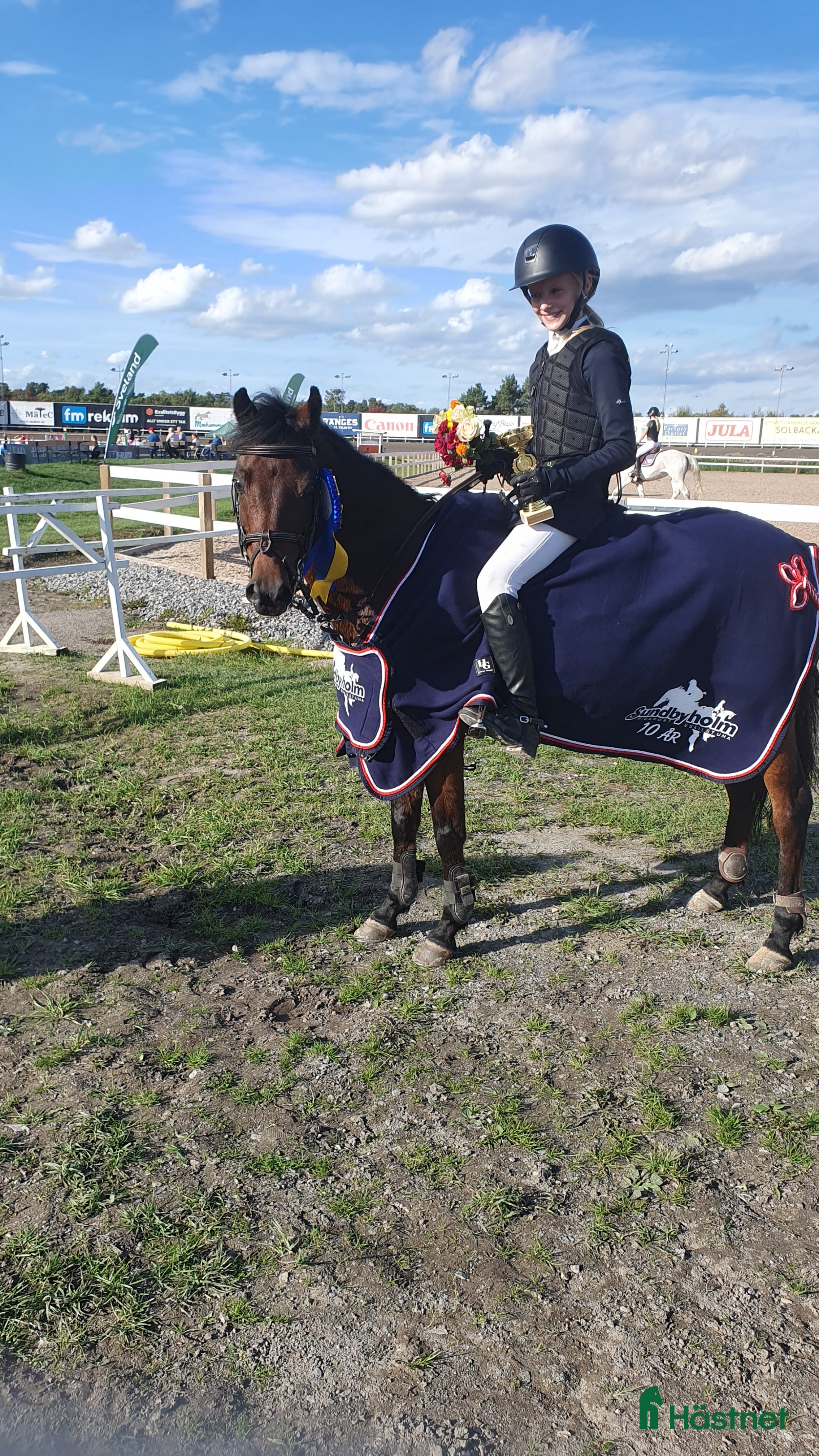  hästar Rosett plockare i Sala - Annons 12