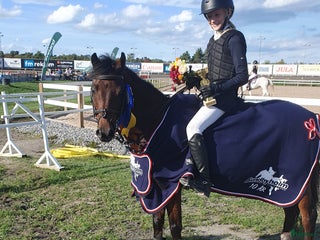 hästar Rosett plockare i Sala - Annons 18