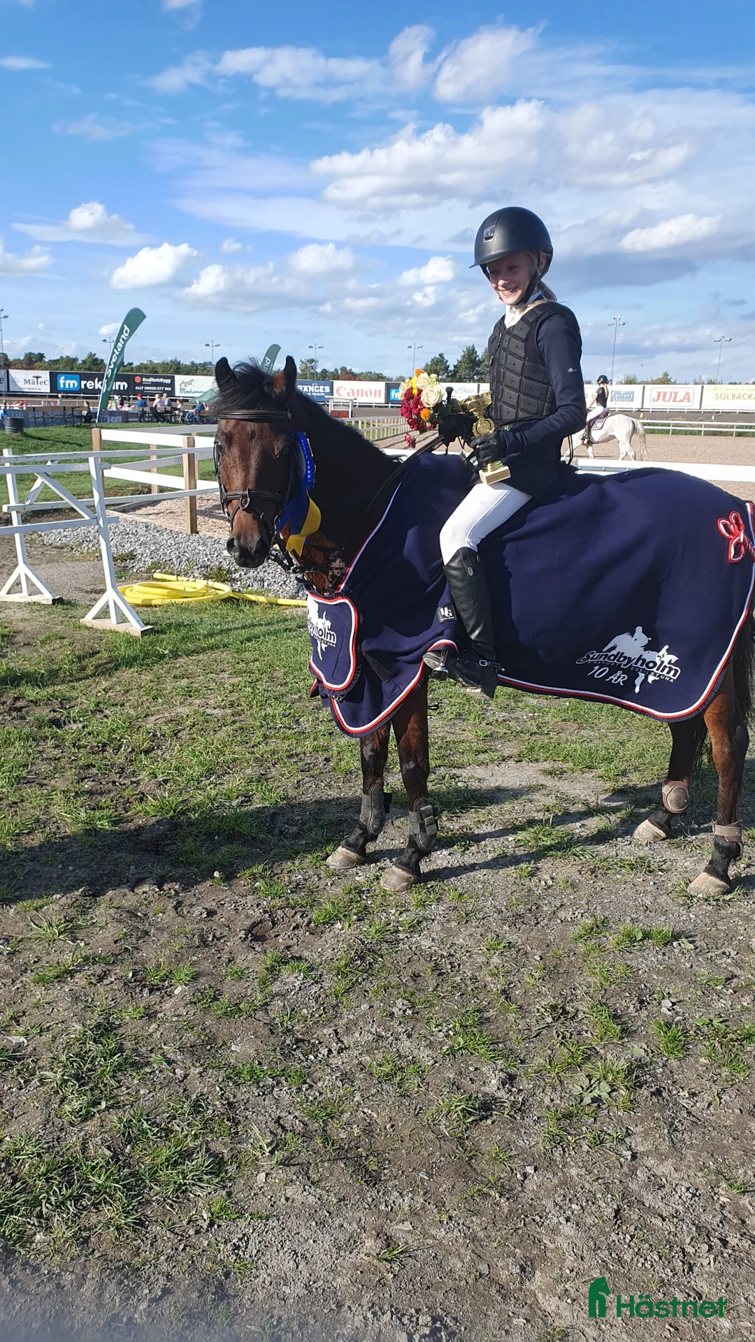 Hoppning hästar till salu: Rosett plockare i Sala - Annons 1