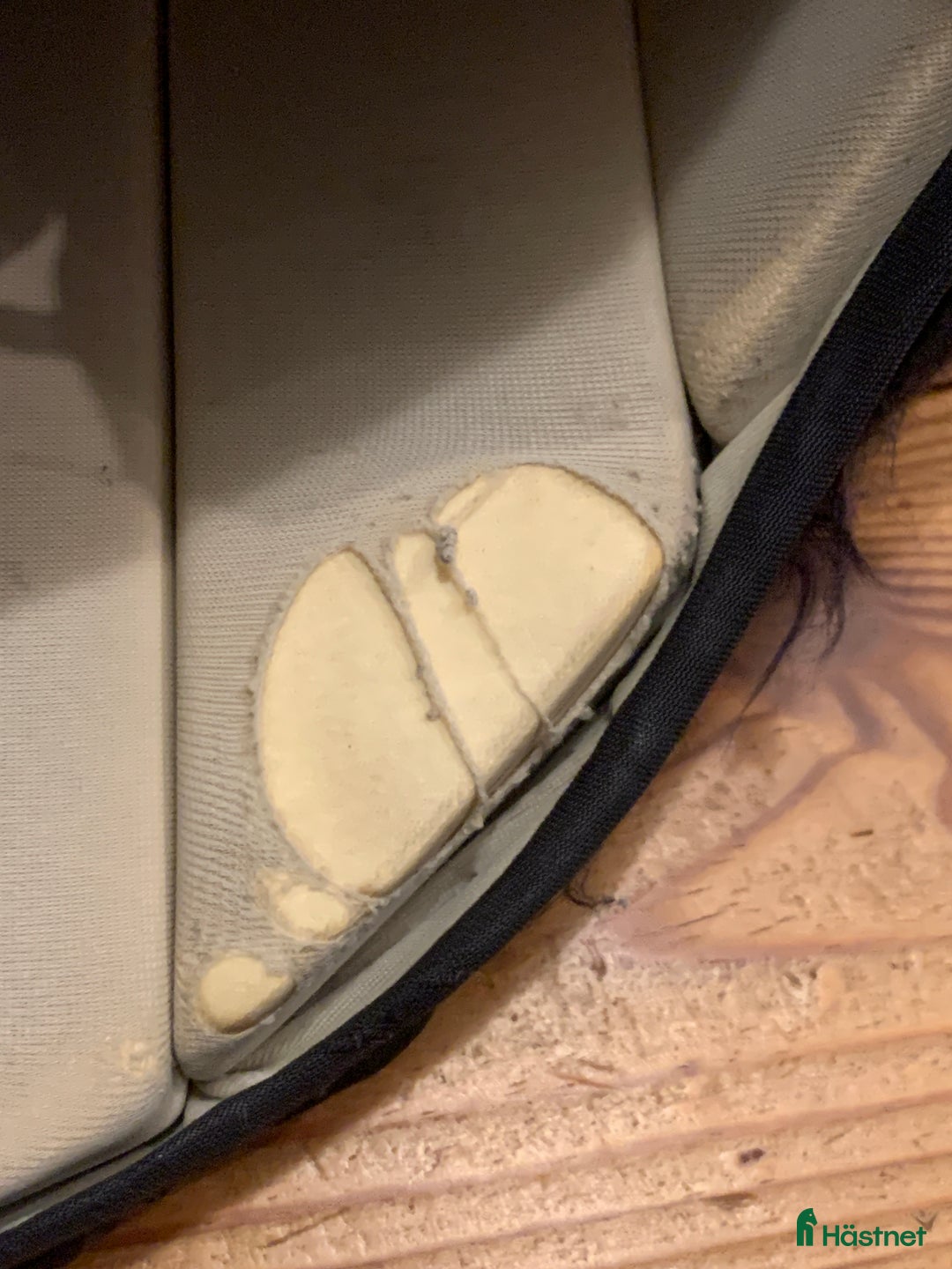 Säkerhetsvästar ryttarutrustning till salu: Racesafe ridväst svart child XL i Glanshammar - Annons 5