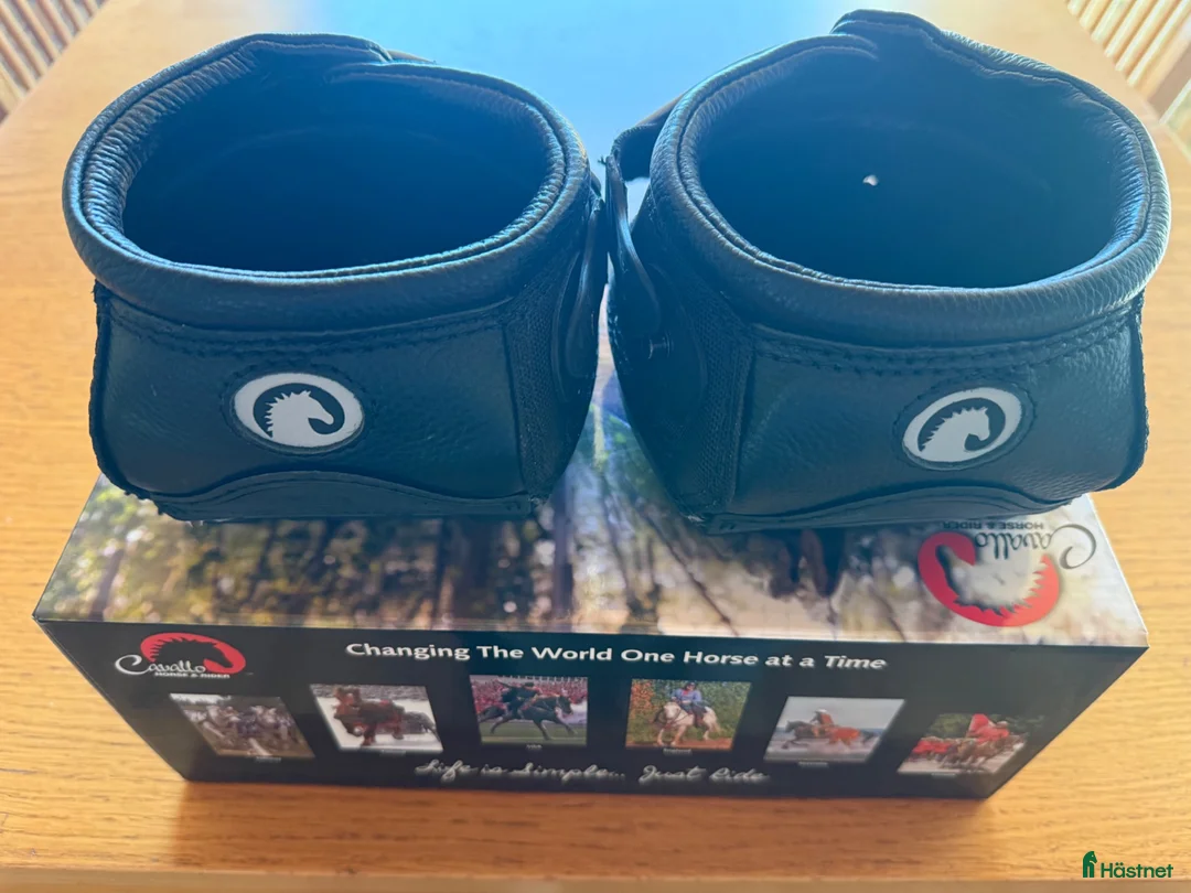 Övrig Hästutrustning hästutrustning till salu: Cavallo boots  - Annons 2