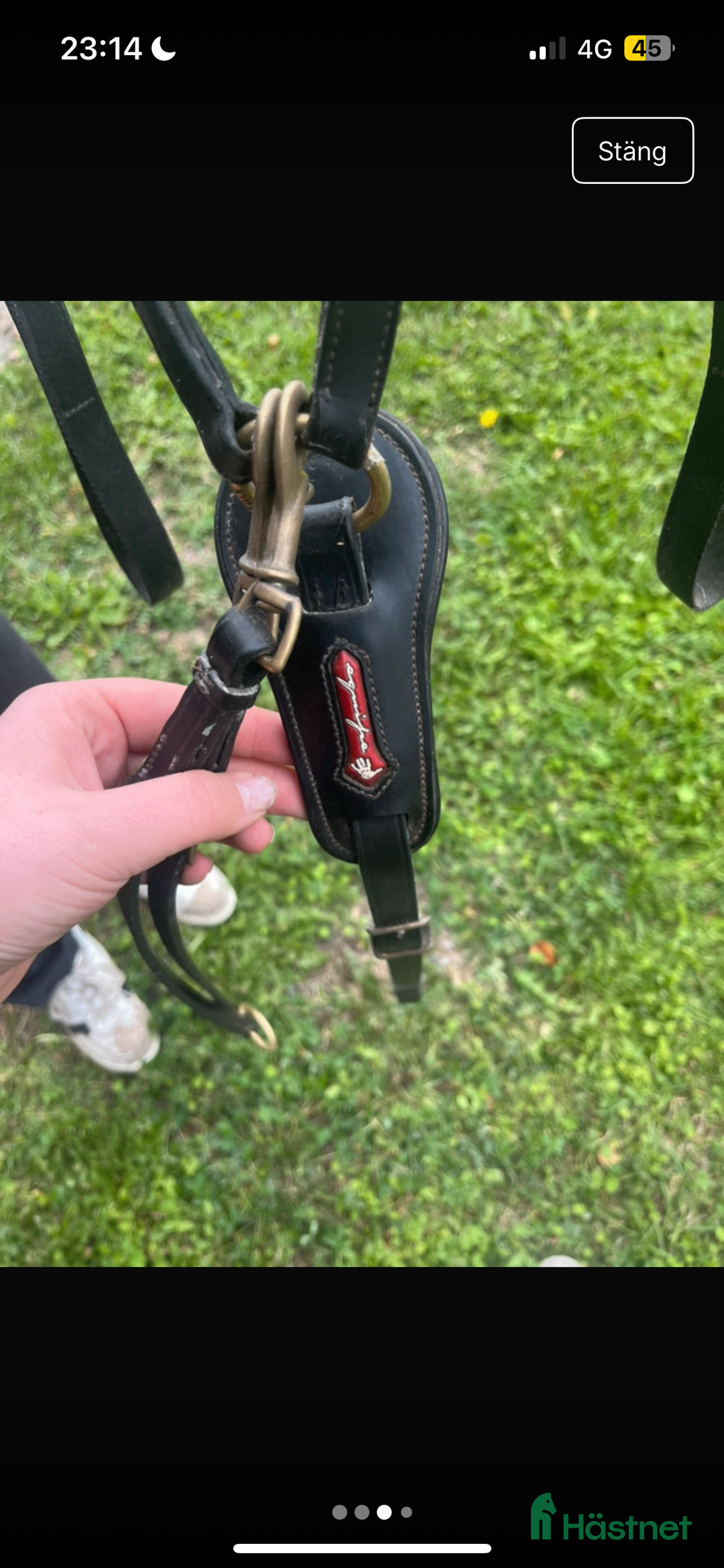 Övrig Hästutrustning hästutrustning till salu: Förbygel equipe i Eksjö - Annons 2