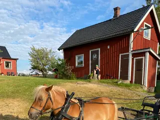 Körselar körning till salu: Loksele komplett Shetland - Annons 2