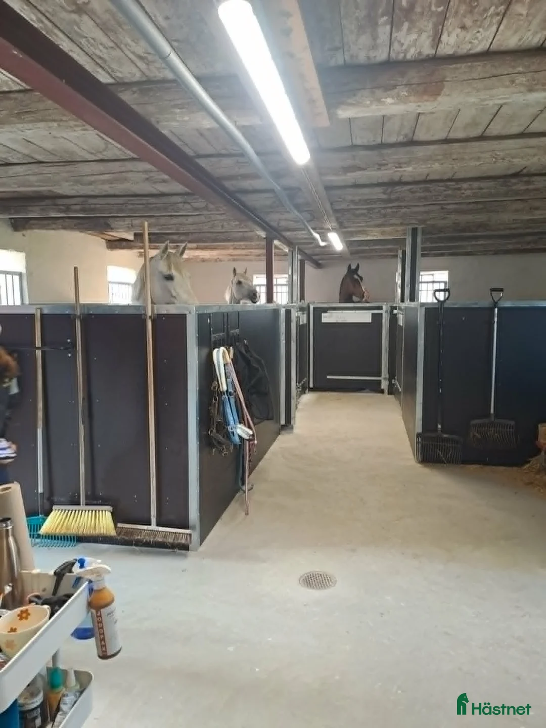  stallplats finnes: 1 Ledig stallplats/litet eget stall 2 boxar i Skurup - Annons 8