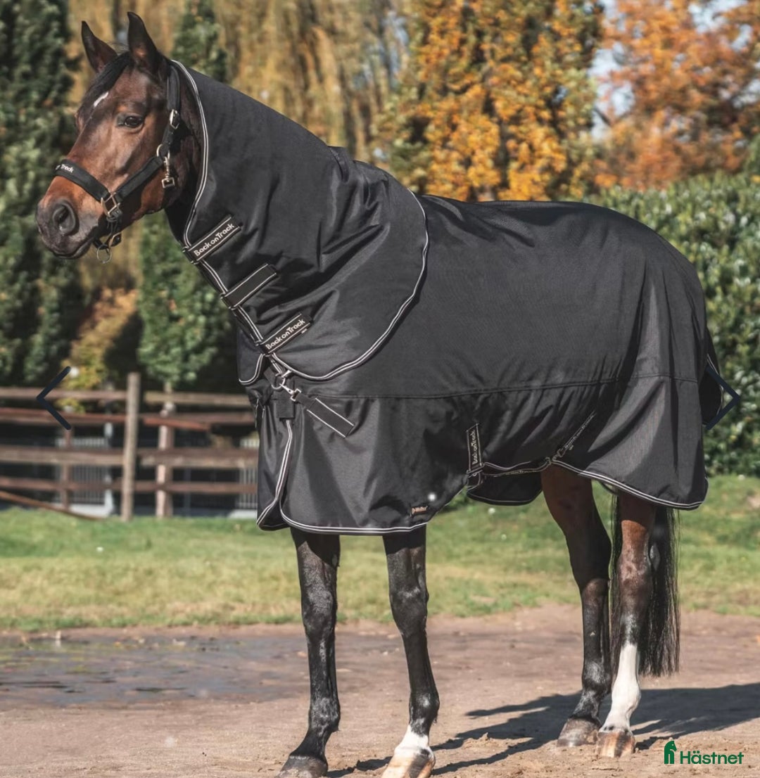 Täcken hästutrustning till salu: Back on Track "Obsidian" Utetäcke 150g m halsdel  i Örkelljunga - Annons 3