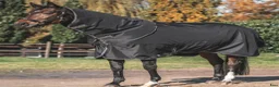 Täcken hästutrustning till salu: Back on Track "Obsidian" Utetäcke 150g m halsdel  i Örkelljunga - Annons 3
